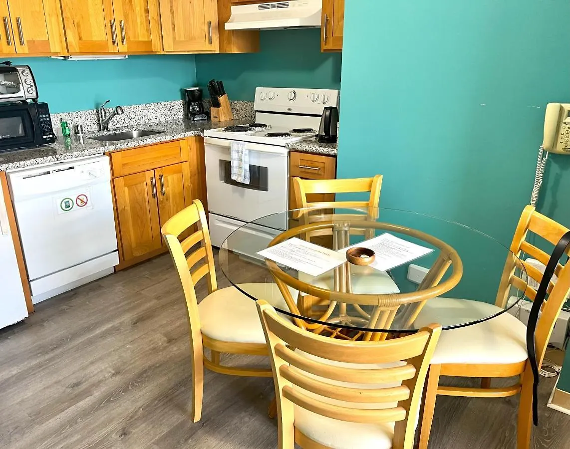 Royal Kuhio 1707 - Spacious Studio With Stunning Diamond Head City Views In The Heart Of Waikiki! Honolulu Stati Uniti
