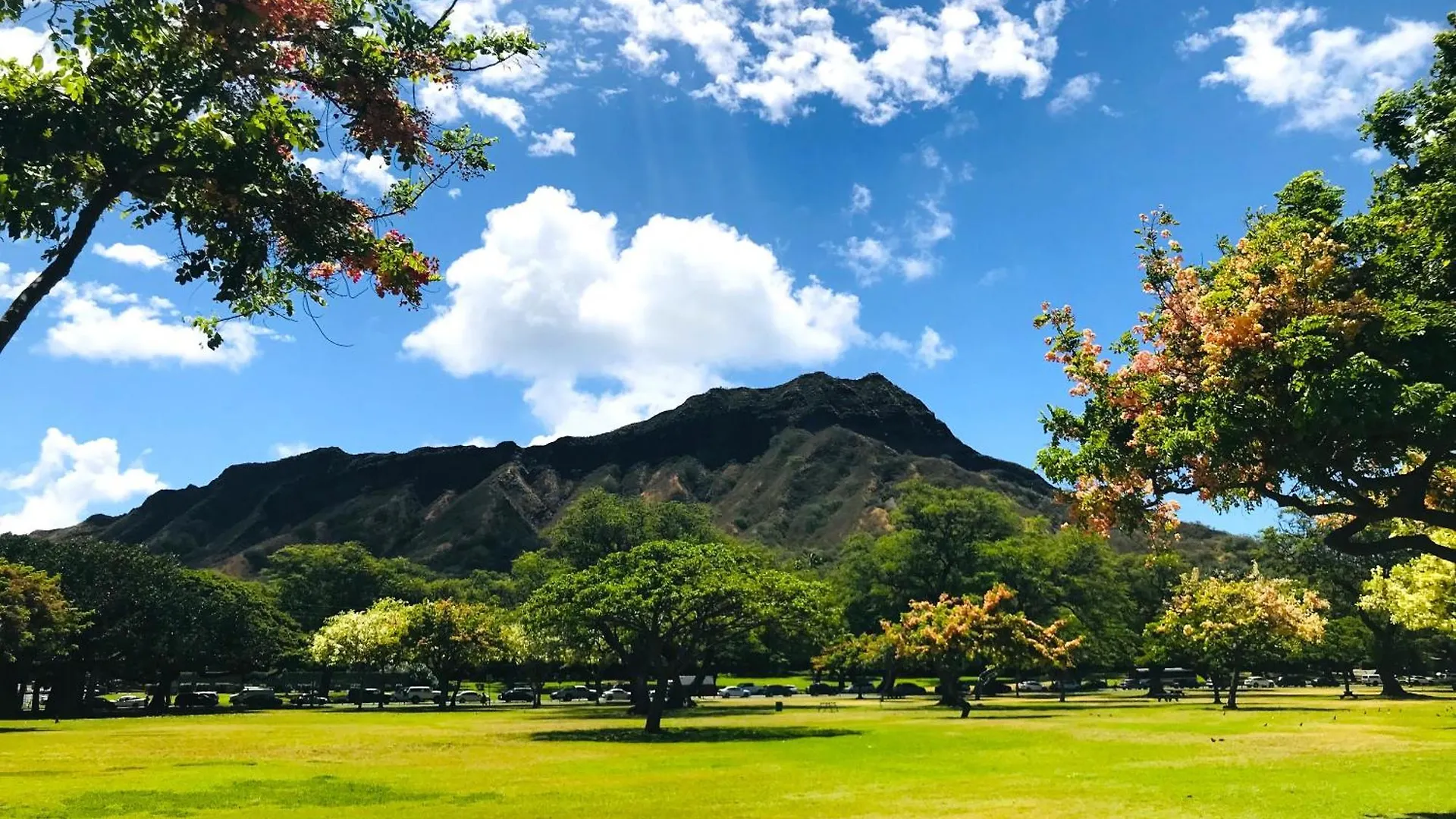 Royal Kuhio 1707 - Spacious Studio With Stunning Diamond Head City Views In The Heart Of Waikiki! Honolulu